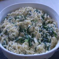 Creamy Orzo and Spinach image