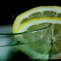 Lemon, Lime and Bitters image