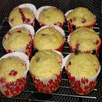 Cranberry Muffins or Loaf Bread_image