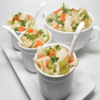Quick and Easy Chicken Soup_image
