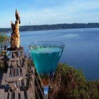 4th of July Martini_image
