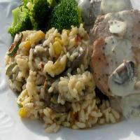 Cucina Rustica: Risotto W/ Early Autumn Vegetables image