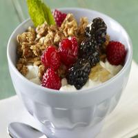 Yogurt Apple Berry Breakfast Bowl_image
