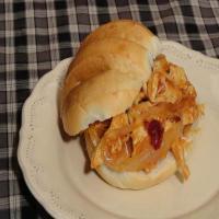 Cran-Apple BBQ Pulled Turkey Sandwich image