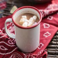 Cinnamon Hot Chocolate_image