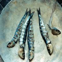 Grilled Fresh Sardines with Fennel and Preserved Lemon image