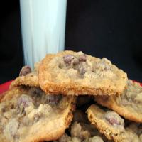 Chocolate-Covered Raisin Oatmeal Cookies_image