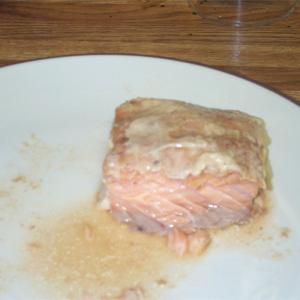 Salmon in the Dishwasher_image