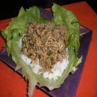 Larb (Laab) Thai Meat Salad With Mint and Lemongrass_image