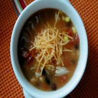 Six Can Chicken Tortilla Soup_image