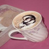 Sugar-Free Hot Cocoa Mix (With Splenda) image