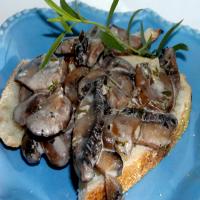 Creamed Mushrooms on Toast image
