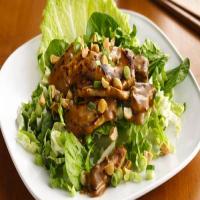 Asian Chicken Salad with Peanuts image