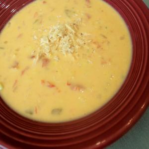 Zesty Cheese Soup_image