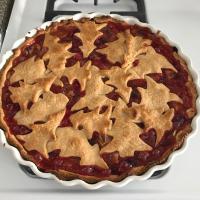 Buttery Cranberry Pie image