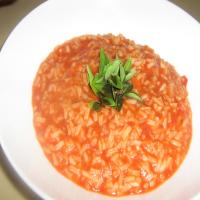 Tomato Soup_image