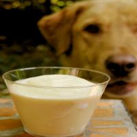 Tinker's Cuddy / Homemade Frosty Paws_image