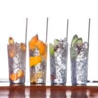 Citrus Gin and Tonic image