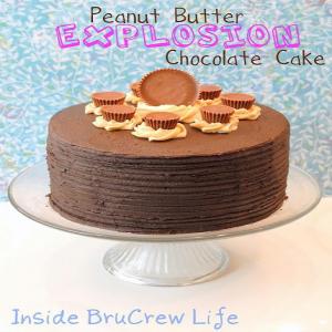 Peanut Butter Explosion Chocolate Cake_image