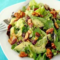 Cranberry Avocado Salad with Candied Spiced Almonds & Sweet White Balsamic Vinaigrette Recipe - (4.4/5) image
