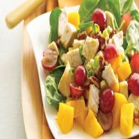 Gingered Chicken and Fruit Salad_image