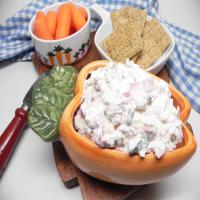 Chipped Beef Dip_image