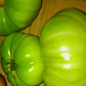 Fried Green Tomatoes My Way_image