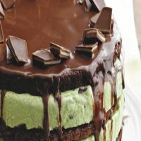 Fudge Mint Ice Cream Torte_image