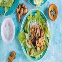 Chicken Lettuce Wraps Like Pf Changs - Copycat image