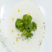 Cold White Asparagus and Yuzu Soup With Crab Salad and Bay Leaf Salt_image