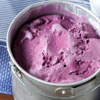 Blackberry Frozen Yogurt image
