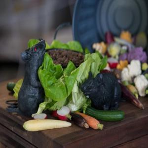 Compost Crudites with Ranch Dirt Dip_image