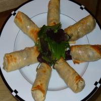 Baked Fish and Fowl Spring Rolls_image
