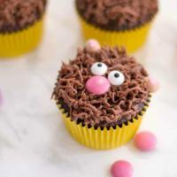 Teddy Bear Cupcakes_image