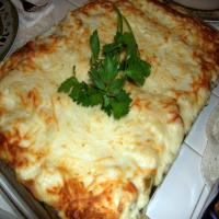 Vegetable Bechamel Lasagne image