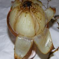 Roasted Onion Wedges_image