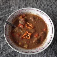 Hot and Spicy Habanero Beef Stew image
