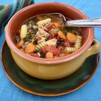 Instant Pot® Turkey Soup with Pasta and Vegetables image
