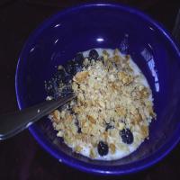 Easy Gluten Free Cereal_image