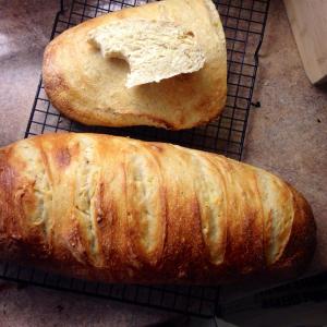 Pain de Campagne - Country French Bread_image