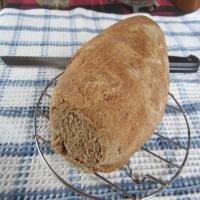 Rye Sourdough Starter and Bread_image