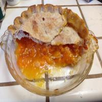 Fresh Apricot Pie image