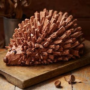 Hedgehog cake_image
