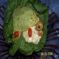 Turtle Shell Salad image
