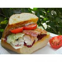 Turkey Sandwiches with Cranberry Sauce_image
