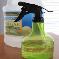 Homemade Glass Cook Top Cleaner Recipe - (4.3/5)_image
