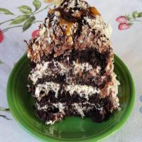 Chocolate-Caramel-Coconut Cake image