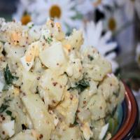Australian Style Potato Salad_image