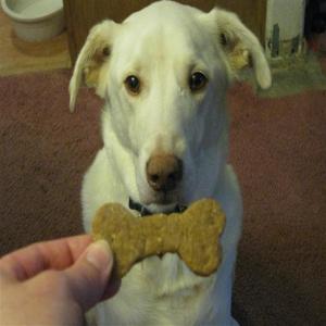 Dog Cookies image