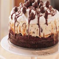 Chocolate Malt Ice-Cream Cake_image